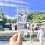鎌倉「長谷」観光ならここはぜったい外せない！おすすめスポット10選【神奈川県】