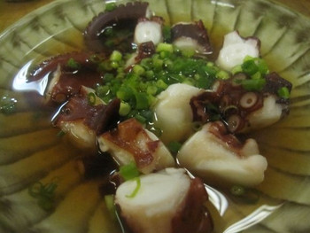 「大橋」料理 1138065 