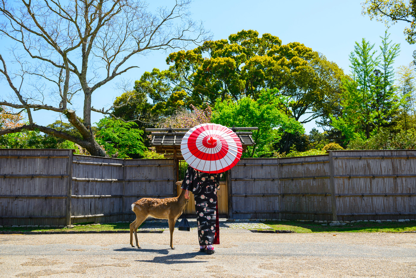 和傘をさして歩く女性
