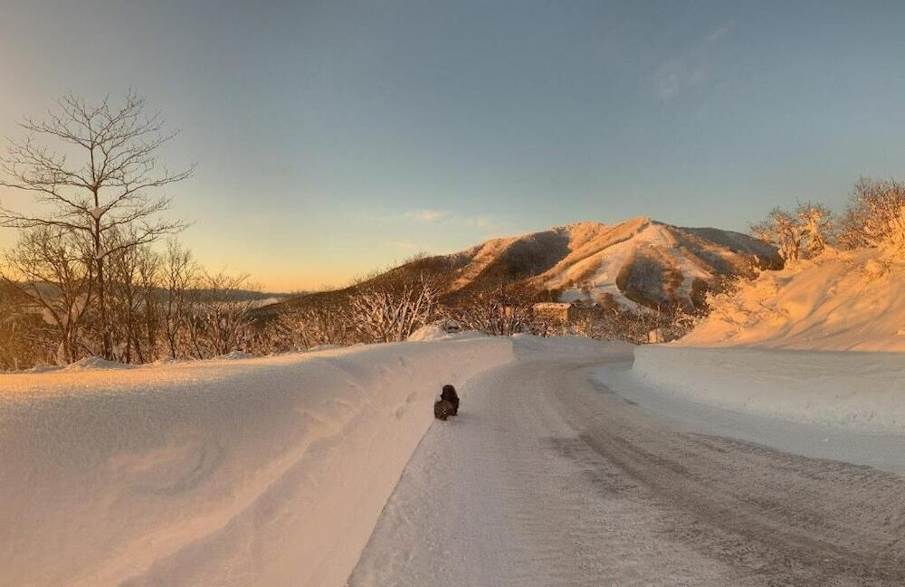 スノー スポーツとスキー