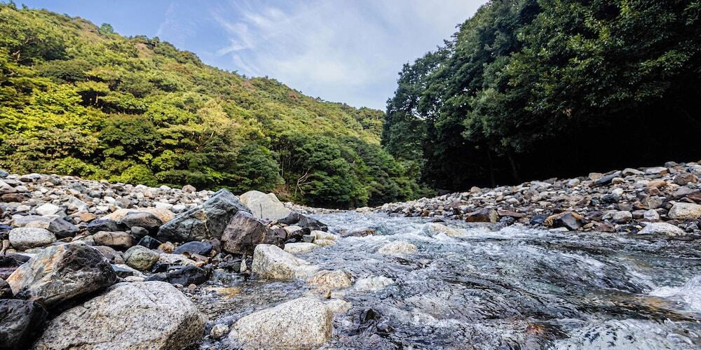 子供向けアクティビティ
