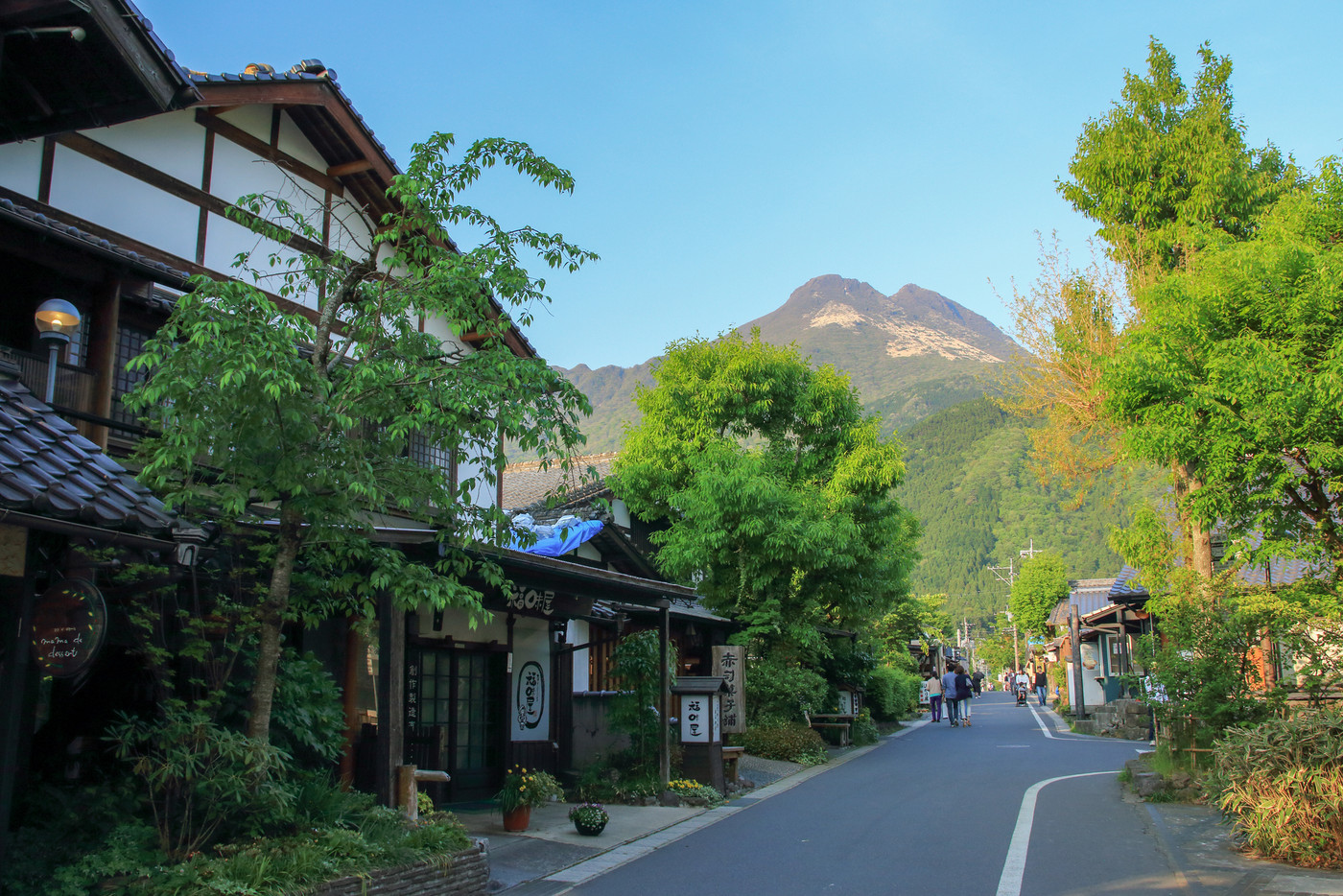 大分県湯布院　初夏の由布岳と湯坪通り