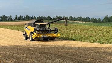 ランド ビュー / 25