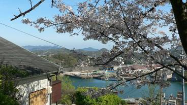 ビーチ / オーシャン ビュー / 7