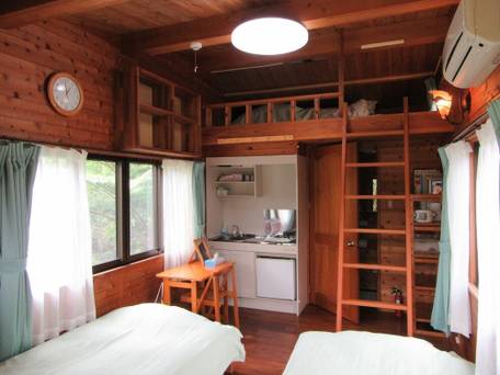 やんばるの森 / 4