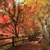 山梨絶景デート♪カップル日帰り旅行で巡るおすすめスポット10選