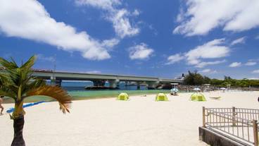 観光スポット / 13