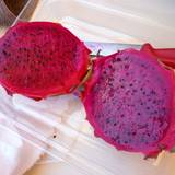 道の駅 許田 やんばる物産センター（ミチノエキキョダヤンバルブッサンセンター）