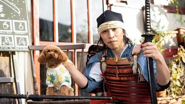 ペット同伴可 / 3