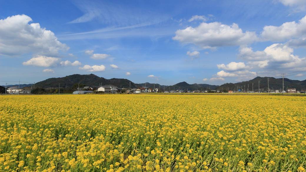 花や海を楽しみながら
マイカーで鴨川旅行
 / 1