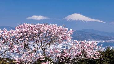 ランド ビュー / 10