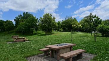 バーベキュー / ピクニック エリア / 9