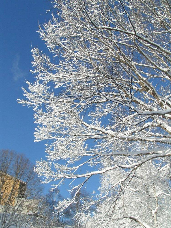 施設からの眺望