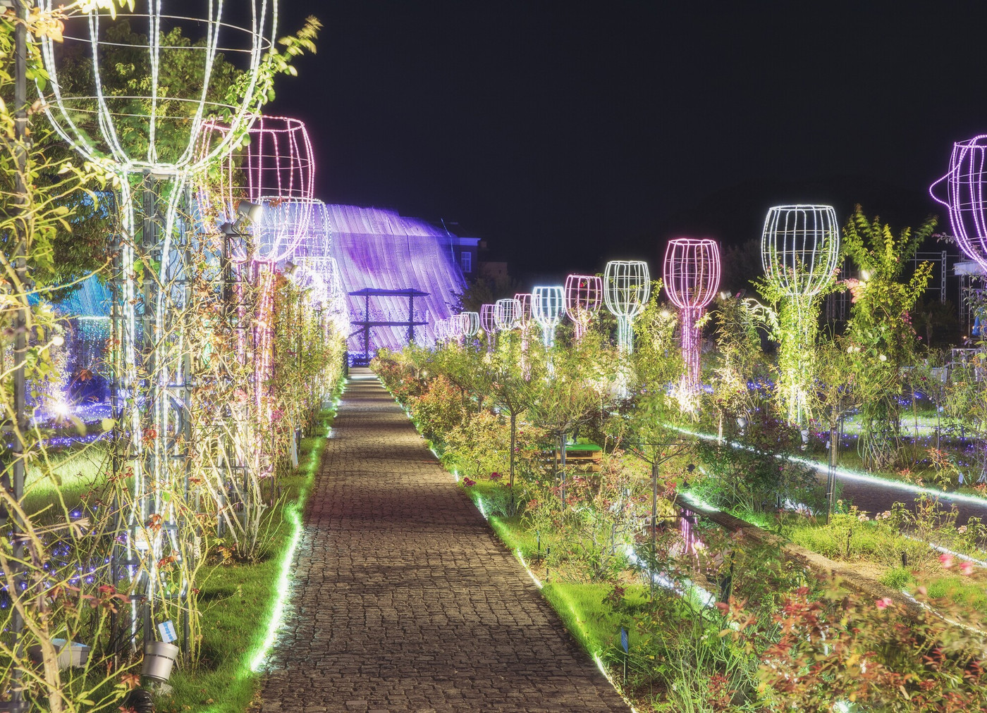 3. ロマンチックな光景を贅沢に独占♡ ふたりだけの “特等席”1954786