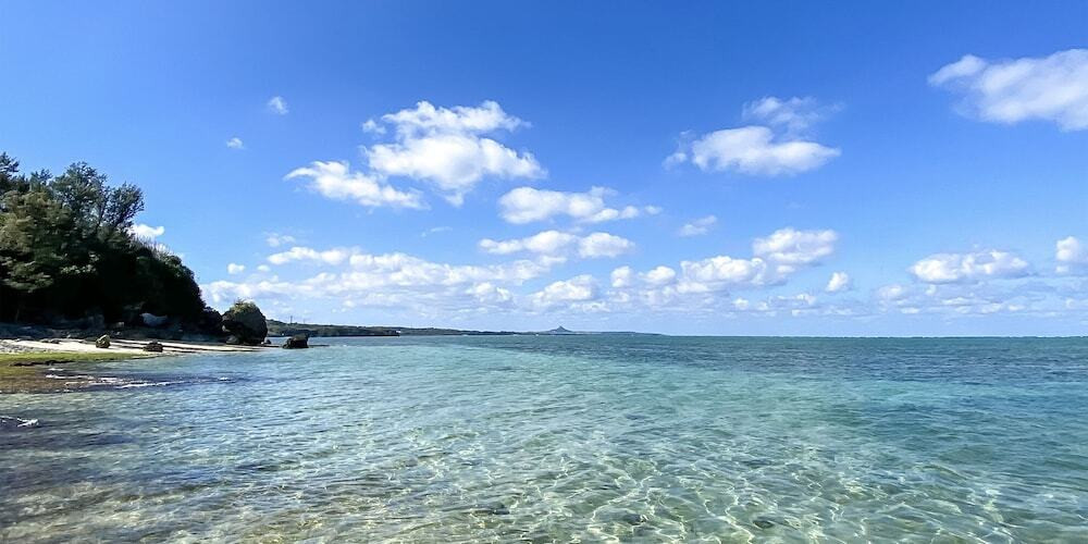 ビーチ / オーシャン ビュー