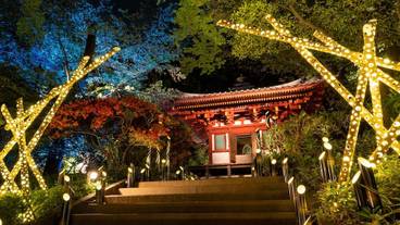 日本庭園④ / 15