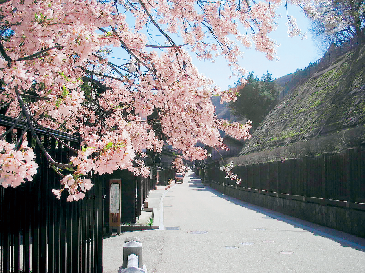 心を癒す自然を巡る女子旅へ。春の木曽路へ出かけよう♩♩1839921