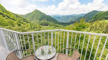 テラス / パティオ / 9