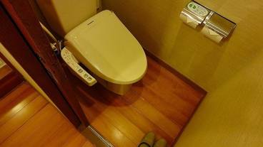 客室トイレ一例 / 15