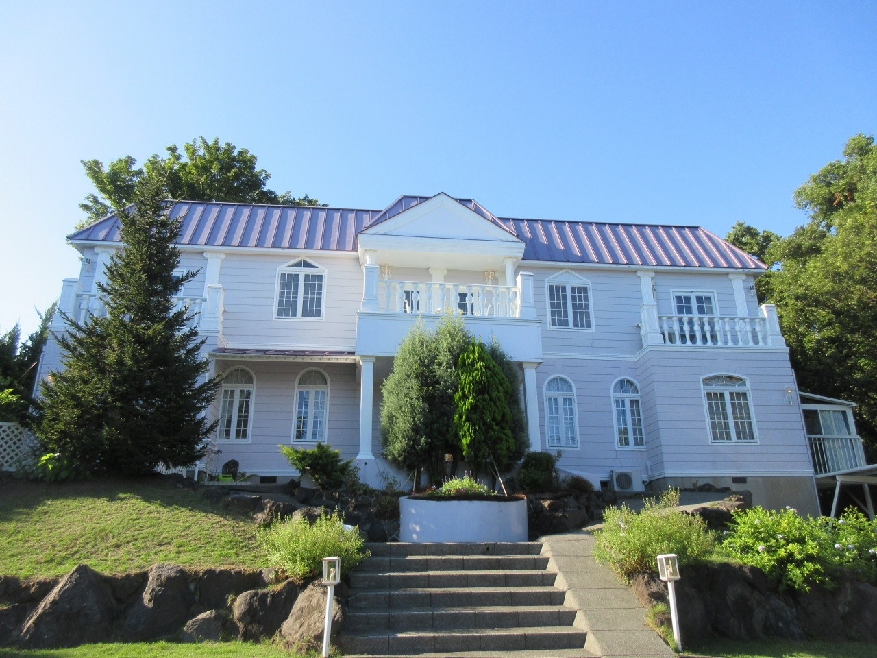 おやつを口でキャッチ♪芸達者なニャンコたちに笑顔をもらえる4260588