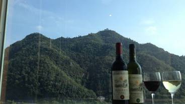 施設からの眺望 / 24