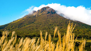 デラックス ヴィラ 禁煙