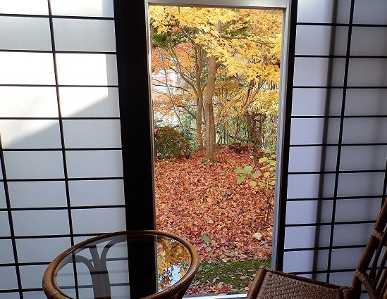 ５階でしたが、小さな庭のようになっていました。