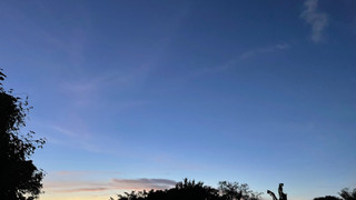 コンフォートルーム ジャングルビュー 禁煙 女性専用 (シングルベッド 1台および布団 1組)