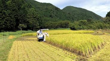 ランド ビュー / 27