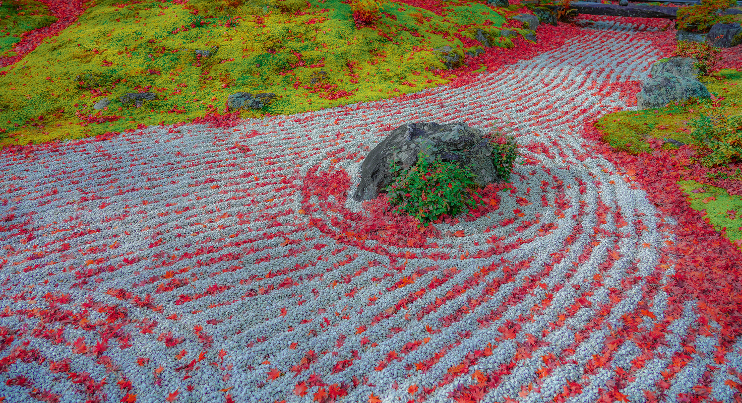 円通院 石庭 紅葉の時期