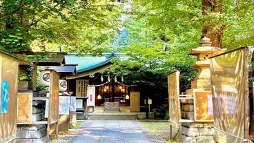 観光スポット / 11