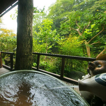 春には桜が満開に♪露天風呂付きの客室3443310