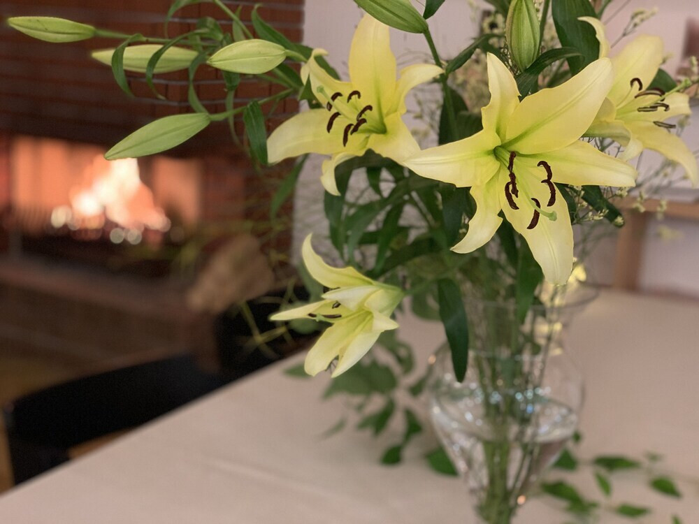 客室内のダイニングエリア