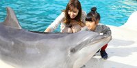 【和歌山】那智勝浦で自然を楽しむ♪子連れにおすすめホテル7選