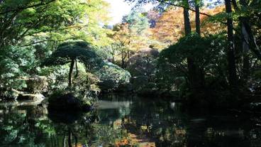 仙石原温泉 仙郷楼（センゴクハラオンセン センキョウロウ） / 7