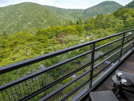 箱根小涌園 三河屋旅館 / 4