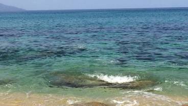 施設からの眺望 / 15