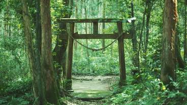 エコツアー / 14