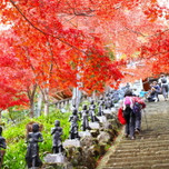 大山のパワースポット巡りと七沢温泉おすすめ宿＆グルメ♪