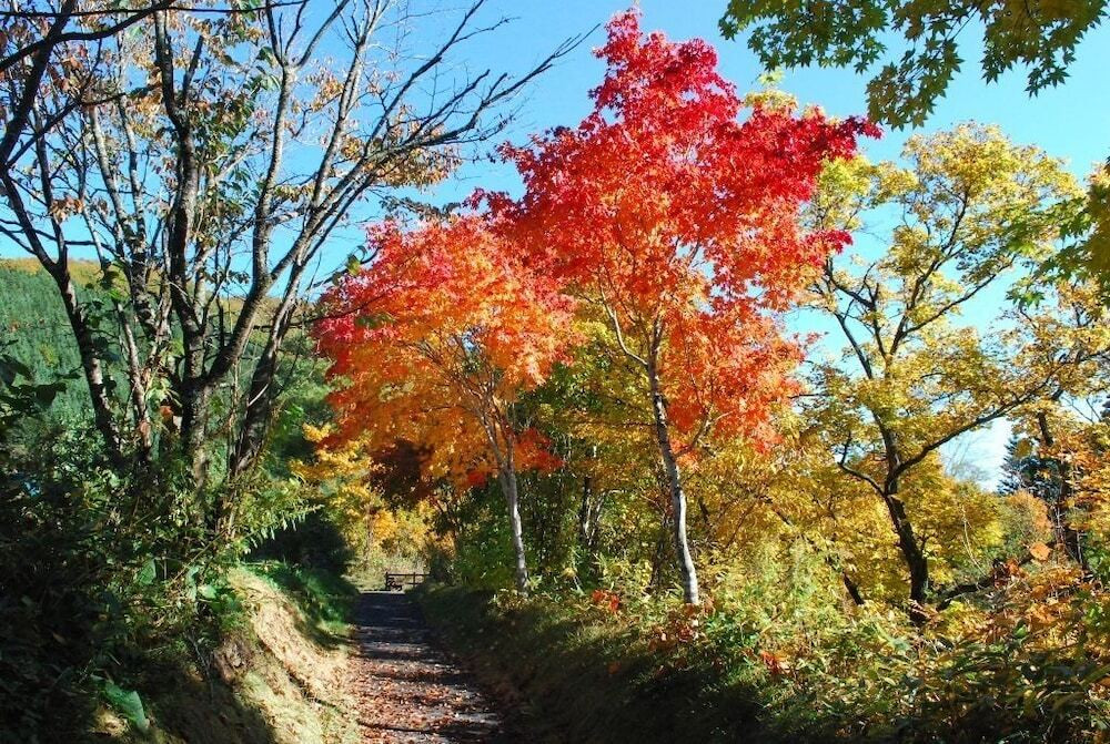 施設からの眺望