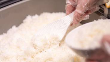 朝食ビュッフェ / 8