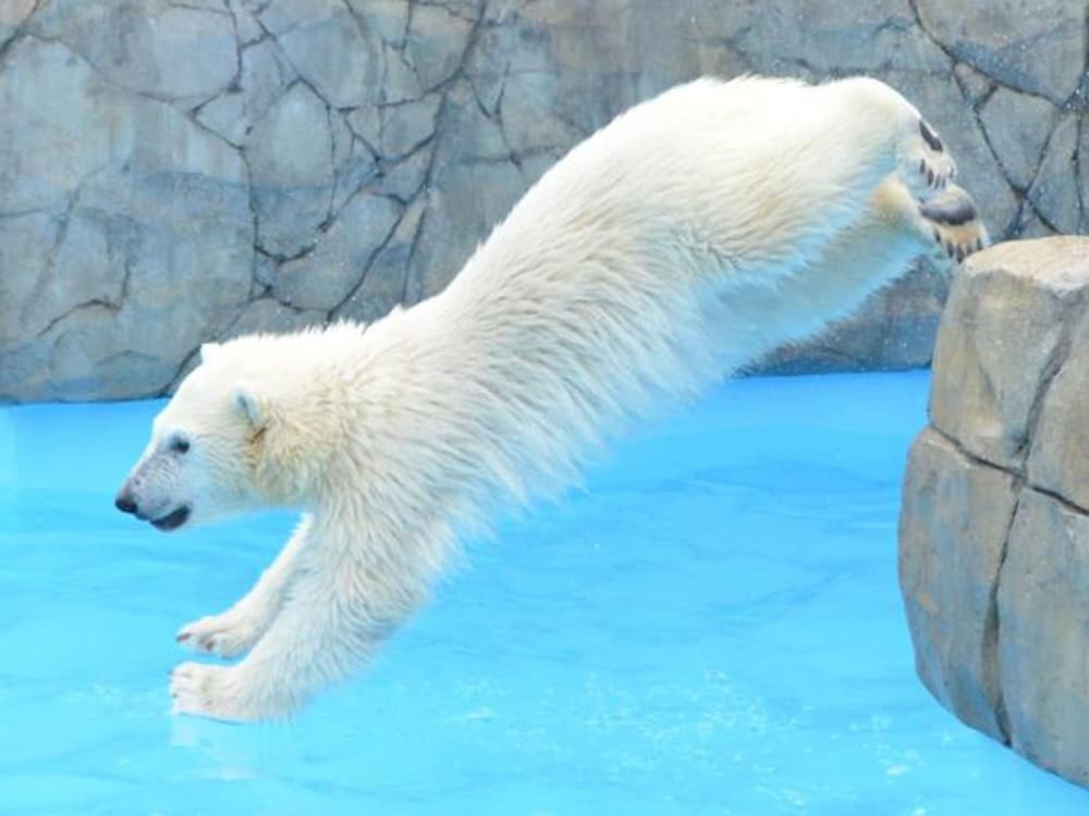 施設からの眺望