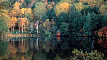 施設からの眺望 / 20