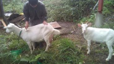 施設の敷地 / 25