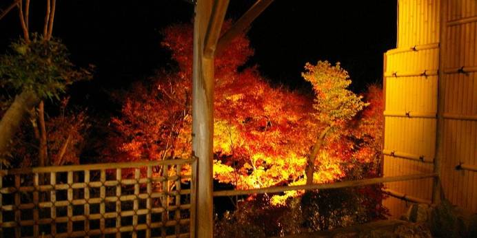 沢渡温泉 宮田屋旅館（群馬県 旅館） / 1