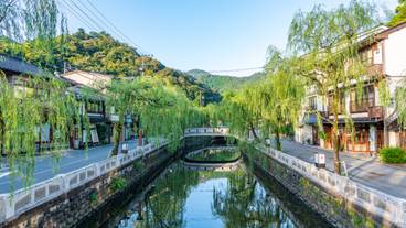 城崎温泉の街並み（昼） / 1