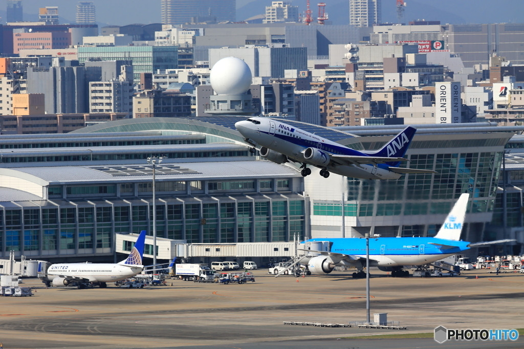 福岡空港には魅力的な商品がたくさん！1501525