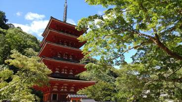 シティ ビュー / 24