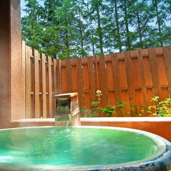 2.天然源泉かけ流しが自慢「奥日光 源泉の宿 ゆの森」3544305