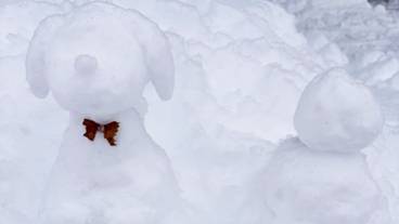 子供用の遊び場 - 屋外 / 5